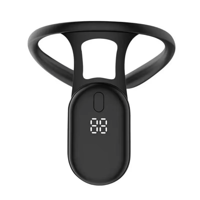 HOMEFISH HOMEFISH Smart Postur - đánh giá và giá Smart Posture Sensor