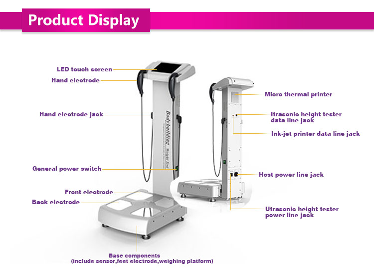 Body Composition Scanner With  - đánh giá và giá Body Fat Scale Smart